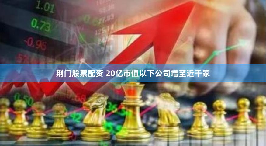 荆门股票配资 20亿市值以下公司增至近千家