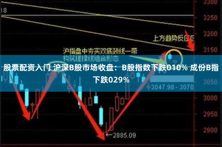 股票配资入门 沪深B股市场收盘：B股指数下跌010% 成份B指下跌029%